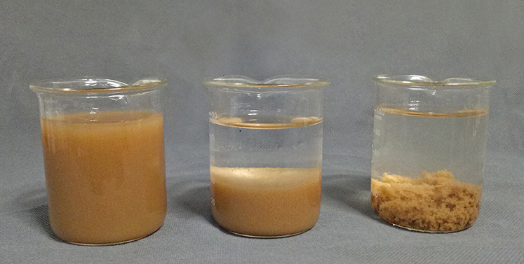 造紙污水處理效果圖